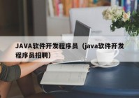 JAVA软件开发程序员（java软件开发程序员招聘）