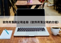 软件开发的公司名称（软件开发公司的介绍）