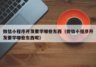 微信小程序开发要学哪些东西（微信小程序开发要学哪些东西呢）