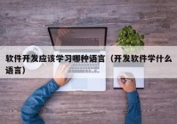 软件开发应该学习哪种语言（开发软件学什么语言）