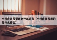 小程序开发要用到什么语言（小程序开发用的是什么语言）