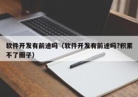 软件开发有前途吗（软件开发有前途吗?积累不了圈子）