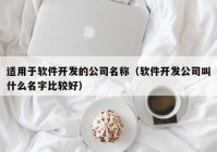 适用于软件开发的公司名称（软件开发公司叫什么名字比较好）