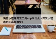 微信小程序开发工具app叫什么（开发小程序的工具有哪些）