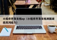 小程序开发文档ap（小程序开发文档洲围湖南岚鸿给力）