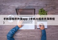 手机小程序开发app（手机小程序开发教程）