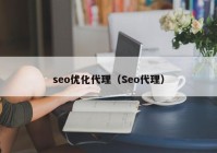 seo优化代理（Seo代理）