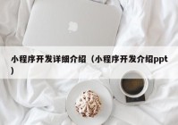 小程序开发详细介绍（小程序开发介绍ppt）