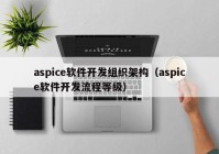 aspice软件开发组织架构（aspice软件开发流程等级）