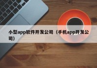 小型app软件开发公司（手机app开发公司）