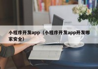 小程序开发app（小程序开发app开发哪家安全）