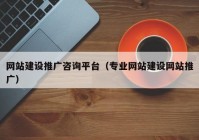 网站建设推广咨询平台（专业网站建设网站推广）