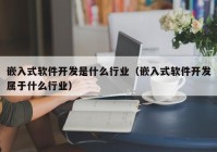 嵌入式软件开发是什么行业（嵌入式软件开发属于什么行业）