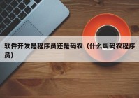 软件开发是程序员还是码农（什么叫码农程序员）