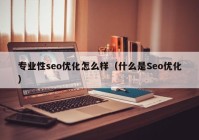 专业性seo优化怎么样（什么是Seo优化）