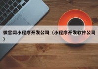 微官网小程序开发公司（小程序开发软件公司）