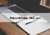 专业seo优化团队（优化 seo）