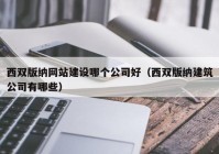 西双版纳网站建设哪个公司好（西双版纳建筑公司有哪些）