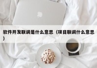 软件开发联调是什么意思（项目联调什么意思）