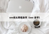 seo优化教程自学（seo 自学）