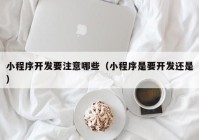 小程序开发要注意哪些（小程序是要开发还是）