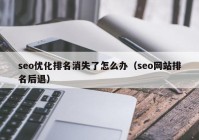 seo优化排名消失了怎么办（seo网站排名后退）