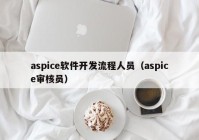 aspice软件开发流程人员（aspice审核员）