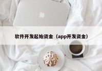 软件开发起始资金（app开发资金）