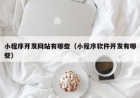 小程序开发网站有哪些（小程序软件开发有哪些）