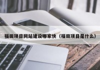 福田项目网站建设哪家快（福田项目是什么）