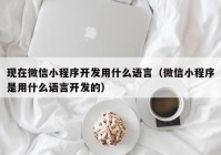 现在微信小程序开发用什么语言（微信小程序是用什么语言开发的）