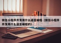 微信小程序开发用什么语言编程（微信小程序开发用什么语言编程的）