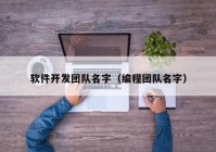 软件开发团队名字（编程团队名字）