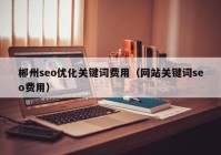 郴州seo优化关键词费用（网站关键词seo费用）