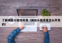 了解微信小程序开发（微信小程序是怎么开发的）