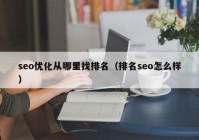 seo优化从哪里找排名（排名seo怎么样）