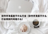 软件开发是属于什么行业（软件开发属于什么行业类别代码是什么）