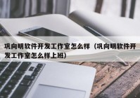 巩向明软件开发工作室怎么样（巩向明软件开发工作室怎么样上班）