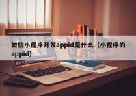 微信小程序开发appid是什么（小程序的appid）